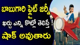 Chandrababu Special Flight Charges