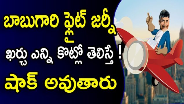 Chandrababu Special Flight Charges