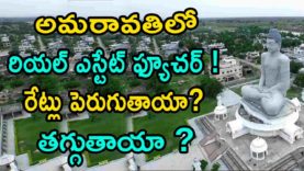 Crash in AMARAVATHI Land Rates