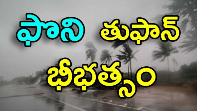 Cyclone Fani triggers heavy rains, gales in Andhra Pradesh