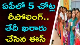 ECI Orders To Re-Polling In These 5 Booths In AP