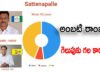 Election Result in SATTENAPALLY
