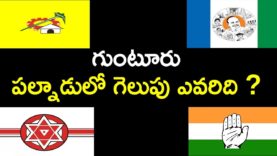 Guntur Palanadu Election results