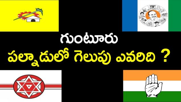Guntur Palanadu Election results