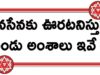 Janasena Will Win In AP Elections