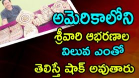 Lord Venkateshwara Temple United States of America