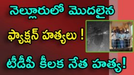 TDP activist murder nellore news