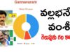Vallabhaneni Vamshi Winning reasons in Gannavaram Assembly Election 2019