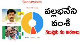 Vallabhaneni Vamshi Winning reasons in Gannavaram Assembly Election 2019