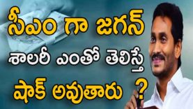 YS Jagan Follows NTR To take Rs. 1 Salary