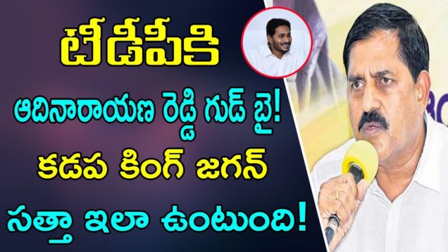 Adhi Narayana Reddy Leaving TDP