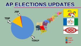 AP Election Updates 2019