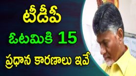 Babu special postmortem for TDP (election 2019)