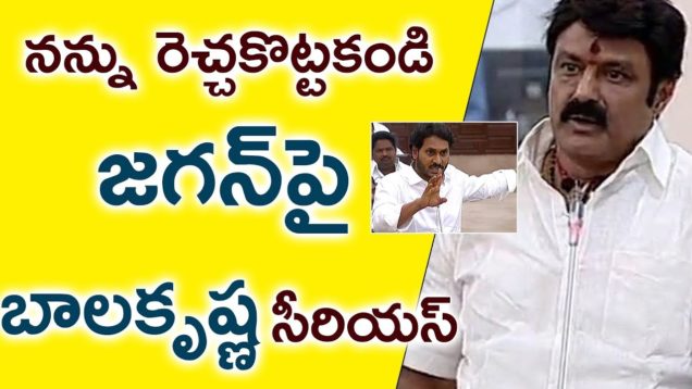 BALAKRISHNA Serious On YS Jagan In AP Assembly