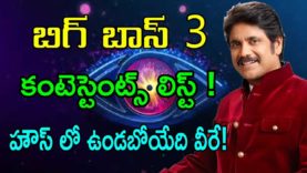 BIGG BOSS 3 Telugu Contestants List Finalised