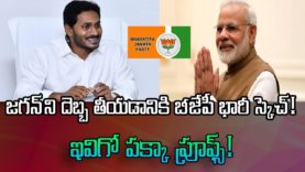 BJP Planning Against YSRCP Jagan Mohan Party