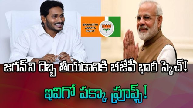 BJP Planning Against YSRCP Jagan Mohan Party
