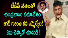 CHANDRABABU About YS JAGAN