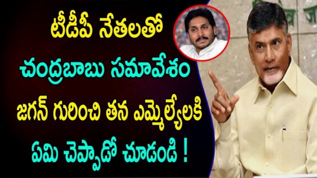 CHANDRABABU About YS JAGAN