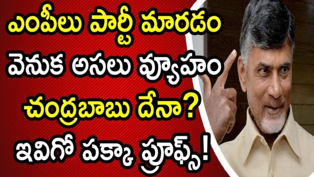 Chandrababu Extreme Planning Over Tdp MPs Party Shifting