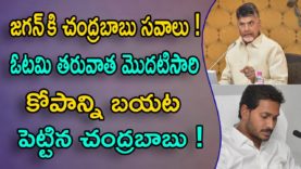 Chandrababu Fires On YS JAGAN