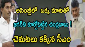 Chandrababu Fires On YS Jagan In AP Assembly Sessions