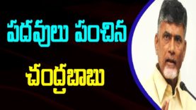 Chandrababu Gives TDLP Postings To MLAs