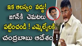 Chandrababu Meeting With MLAs Over Assembly Meetings