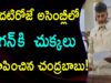 Chandrababu Naidu Fires On Jagan In AP Assembly 2019