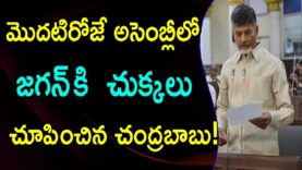 Chandrababu Naidu Fires On Jagan In AP Assembly 2019