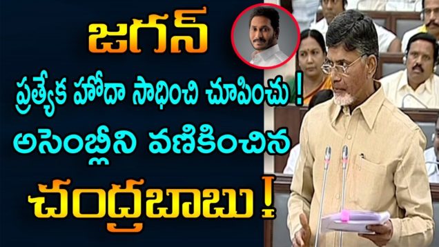 Chandrababu Sensational Comments On Jagan Over Special Status Category