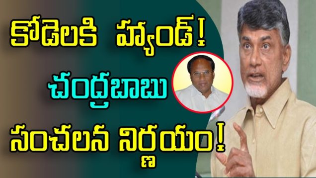 Chandrababu Sensational Decision For Kodela Siva Prasad
