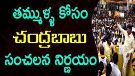 Chandrababu Sensational Decision For TDP People