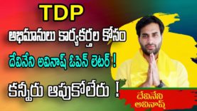 Devineni Avinash Open Letter To TDP Party Cadre