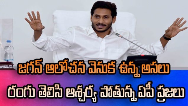 Doubts Against Village Voluntaries Scheme In Andhra Pradesh