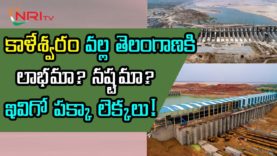 Is KALESHWARAM Project is Profit to TS