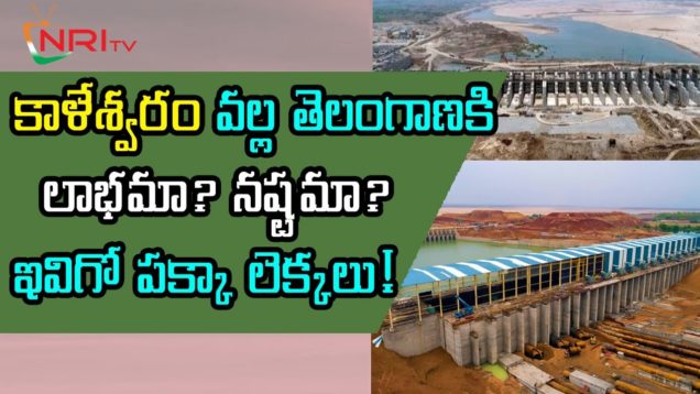 Is KALESHWARAM Project is Profit to TS