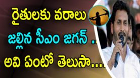 Jagan Reddy announces ‘Rythu Bharosa’ input subsidy scheme For Farmers