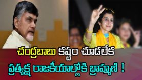 Nara Brahmani will Replace Chandrababu