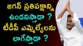 No TDP MLA left in opposition