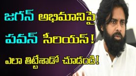 PAWAN KALYAN Fires On YS JAGAN Fan