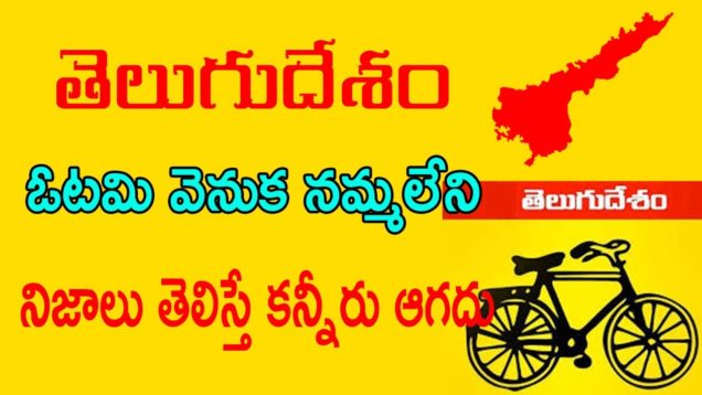 Reasons Behind Telugu Desam Party Losing In AP ELECTIONS