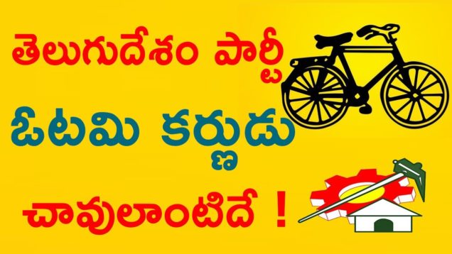 Reasons Behind Telugu Desam Party Losing In AP Elections
