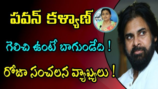 Roja Sensational Comments On Pawan Kalyan Losing