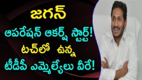 TDP MLAs Wants To Join In YSRCP Party
