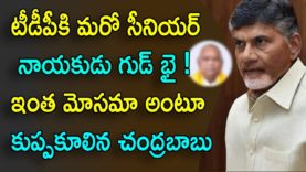 TDP Senior Leader Gives Shock To Chandrababu
