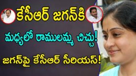 Vijayashanthi Satires On CM KCR By Comparing With JAGAN