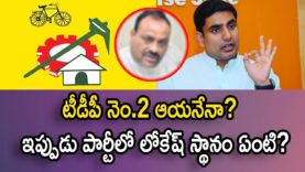 Who Is Main Lead In TDP After Chandrababu Naidu