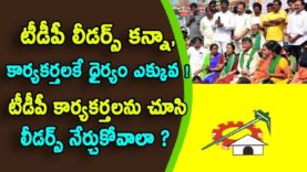 Activists have more courage than TDP leaders