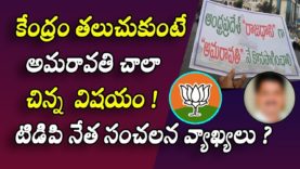 Amravati is a very small thing if the center can handle the issue